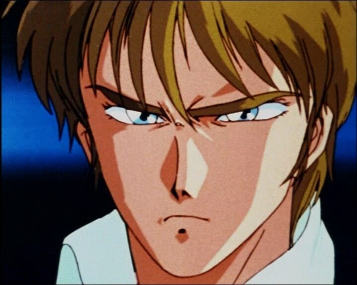 佐罗的传说，动画片，DVD，2卷，10碟，...