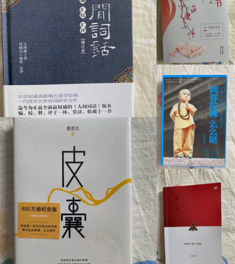 人间词话 皮囊（未拆封） 阿弥陀佛么么哒 ...