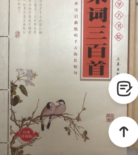 宋词三百首。王国维人间词话精装版硬壳。 送...