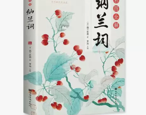 彩图全解纳兰词彩书馆有注释赏析与点评纳兰性...