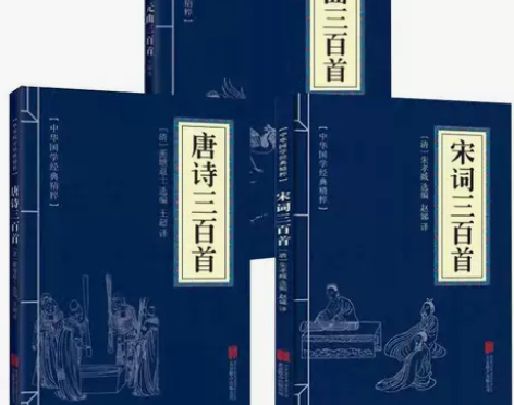 全新正版唐诗三百首+宋词三百首+元曲三百首...