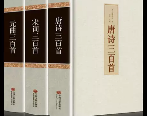 唐诗三百首全集正版唐诗宋词元曲三百首300...