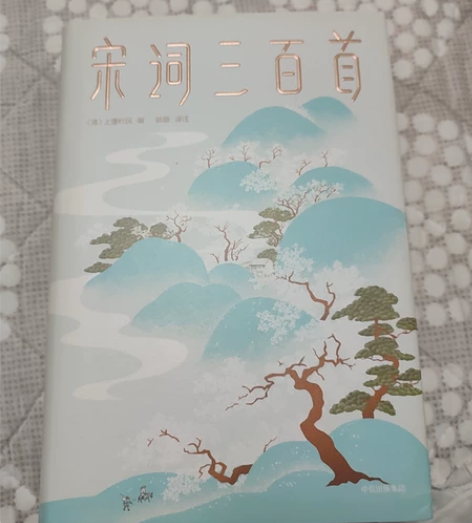 宋词三百首，全新，马未都推荐必读书籍，低价...