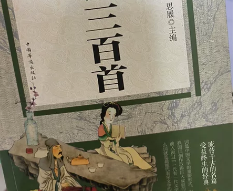 《宋词三百首》彩图全解 幼儿园 小学必读启...