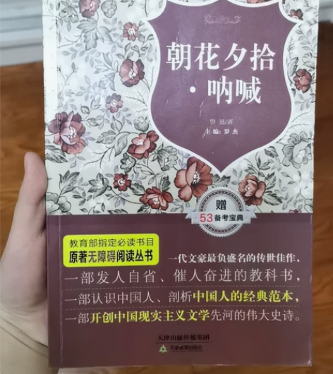 朝花夕拾 呐喊 原著无障碍阅读版