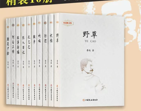 朝花夕拾故乡阿Q正传狂人日记呐喊孔乙己彷徨...