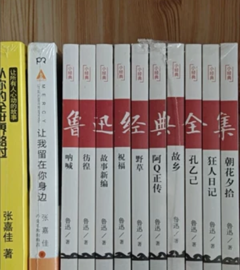 全套10册鲁迅全集的书小学生朝花夕拾鲁迅呐...