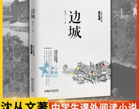 九年级下册必读名著人教版儒林外史简爱我是猫...