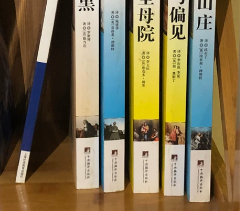 呼啸山庄 傲慢与偏见 巴黎圣母院 简爱 红...