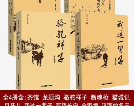 茶馆 我这一辈子济南的冬天骆驼祥子老舍的书...