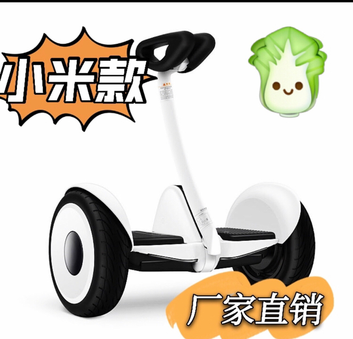 【厂家直销】全新魔幻王国小米九号同款平衡车...