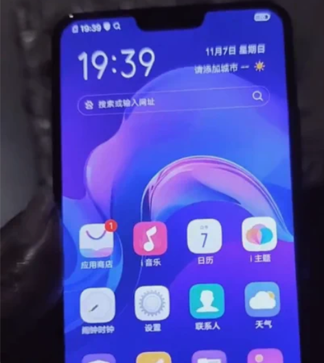 闲置vivo x21全网通6+128G全屏...