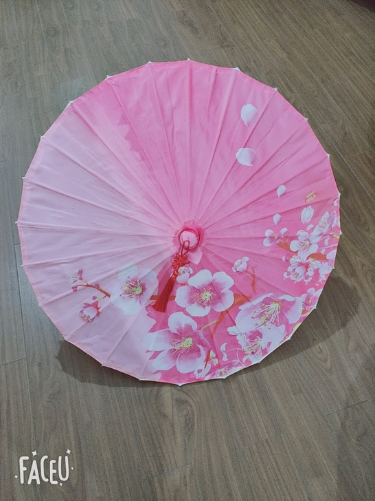 伞灯，里面可以装灯，伞+灯一起50，单光要...