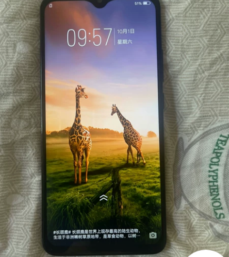 vivox23蓝色 图片都是我的手机实拍图...