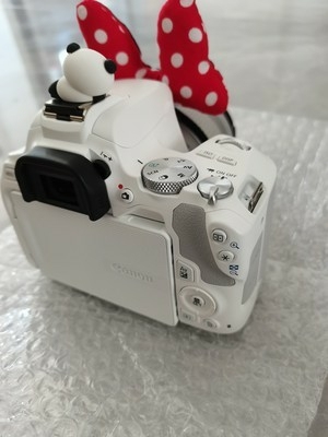 佳能200d二代照相机蚂蚁摄影数码高清旅游...