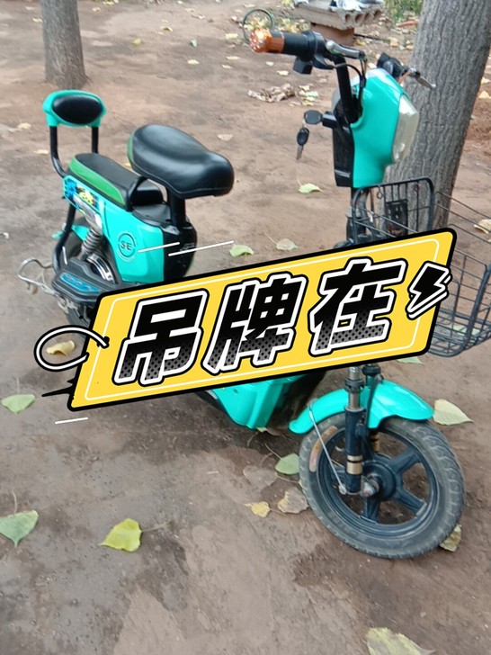 出一辆飞鸽牌小电车，电瓶还能跑二十公里。新...