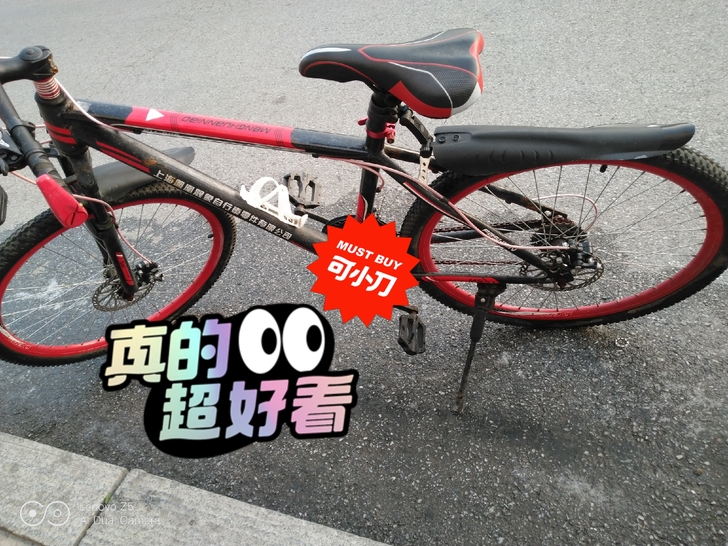 凤凰山地车，没人骑，仓库放久了部分铁件上绣...