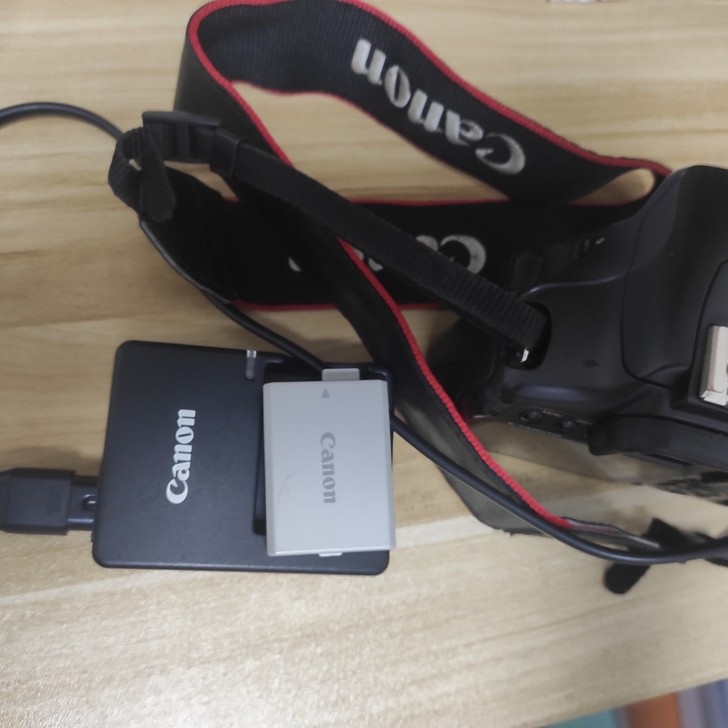 佳能EOS450D急出