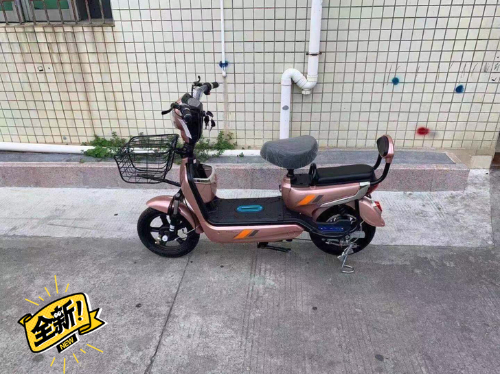 大量批发各种电动车 价格实惠！东莞厚街附近...