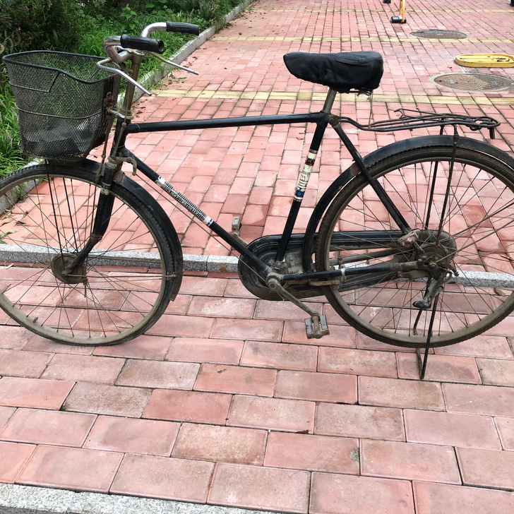 老自行车 中国 天津 飞鸽自行车 八九十年...