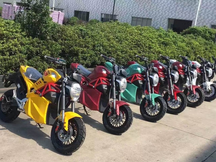 加州豹厂家批发