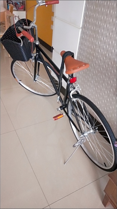 潮流自行车，成人26寸，便宜处理。