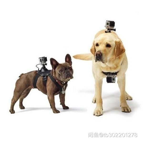 GoPro小蚁运动相机配件。小蚁原装运动相...