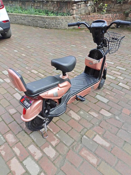 思帝诺新国标电瓶车小型电瓶车男女两轮代步车...