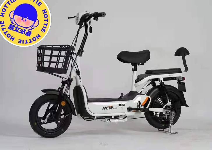 标价就是实价，电动车全新的，48伏12安锂...