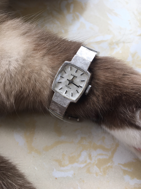 瑞士雷达中古机械女表，喵星人上手实拍图，表...