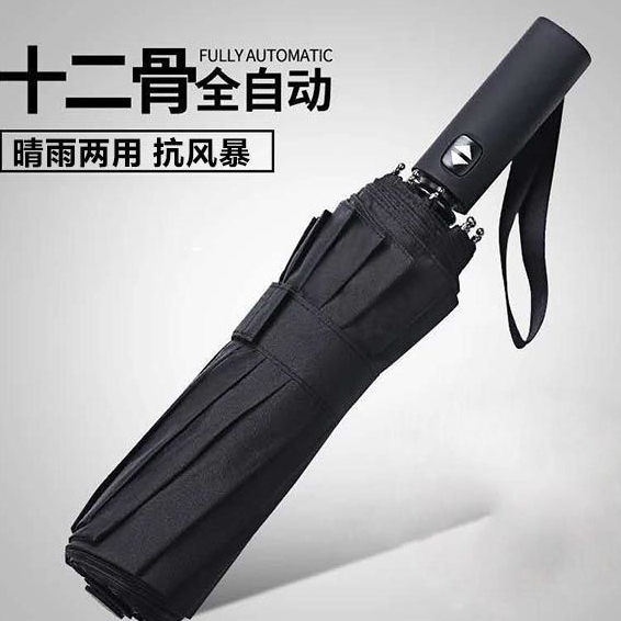 自动雨伞十二骨大号伞情侣双人伞折叠晴雨两用...