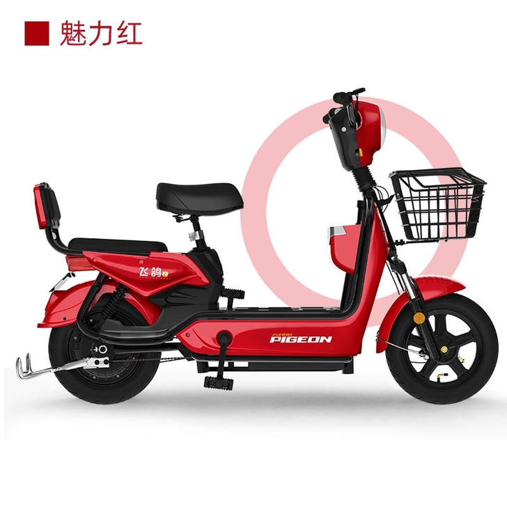 全新 【亏本处理】飞鸽新国标48V新款电动...