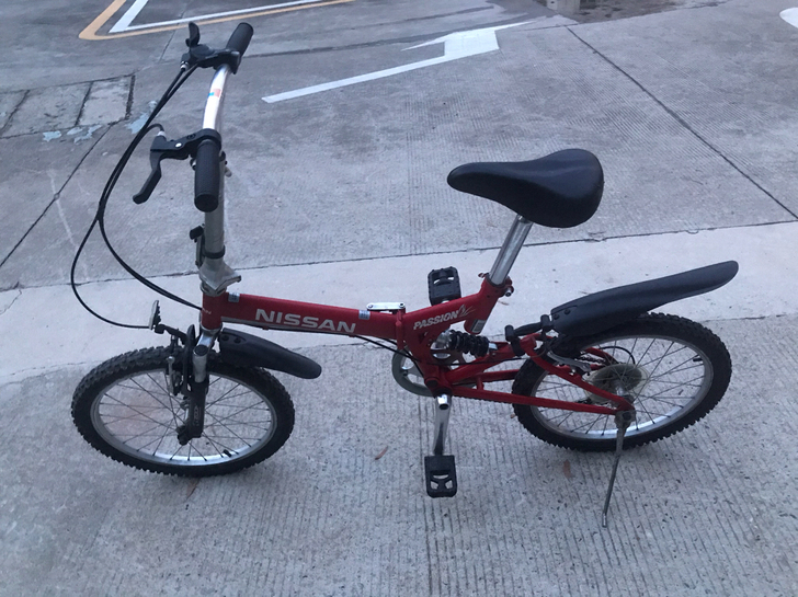 大行折叠自行车