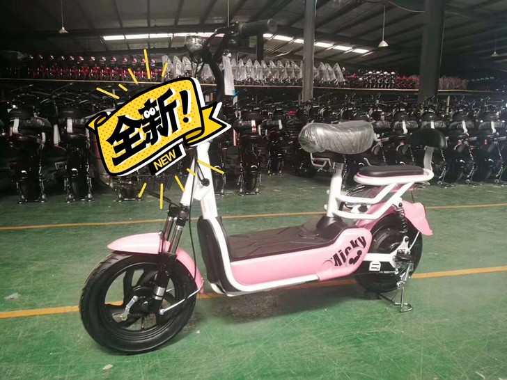 新款宝岛电动车，库存低价出售，电池全新超威...