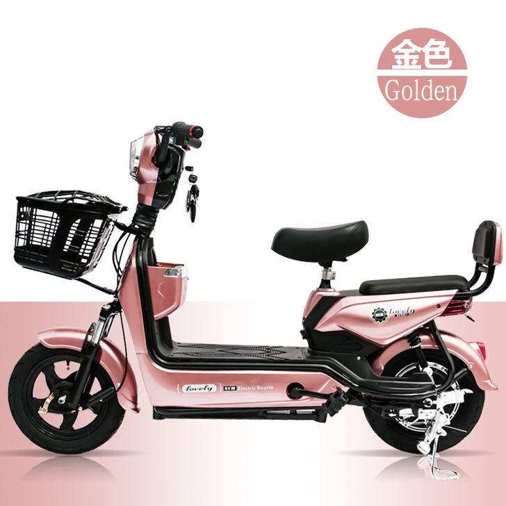 新款国标48v成人电动车小型助力电瓶车代步...