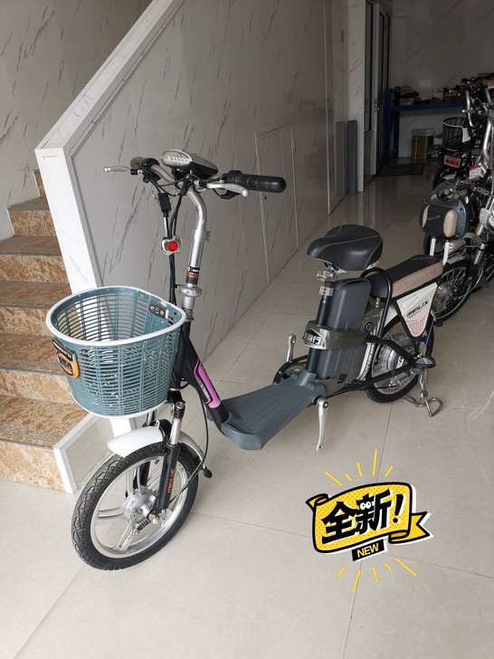电动车#全新库存车美丽行48V锂电电动车，...