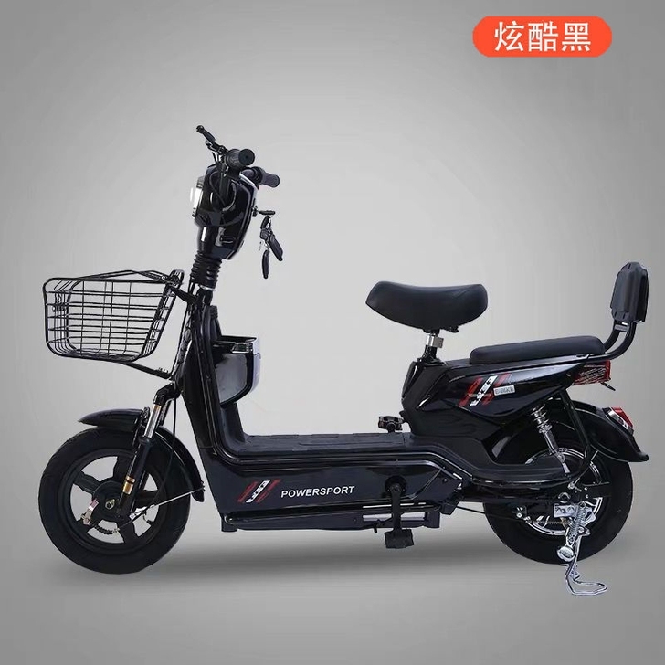 思帝诺新国标48V新款电动车电动自行车小型...