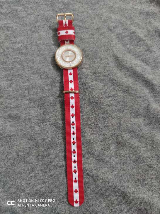 新款正品蒂玮娜davena时尚高端手表女士...