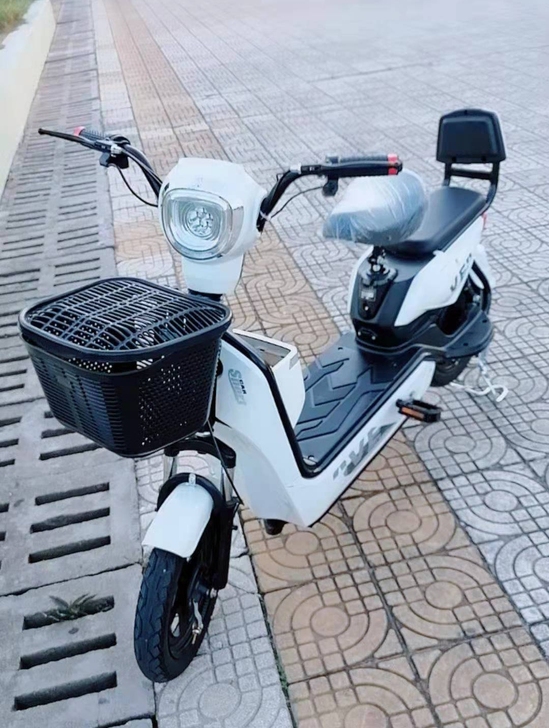 全新  清仓新国标48V新款电动车电动自行...