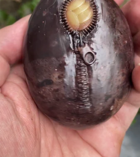 青田周村龙蛋石,俏色巧雕石摆件、手把件、镇...