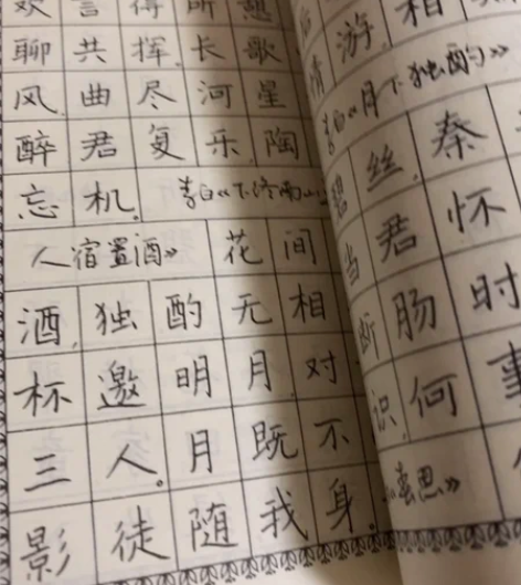 绝版字帖,好字帖一本,非烂大街的字帖。 感...
