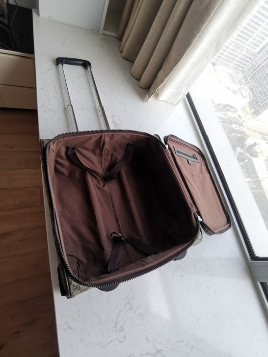 二十寸登机箱，行李箱，本人一手自用，仅限自...