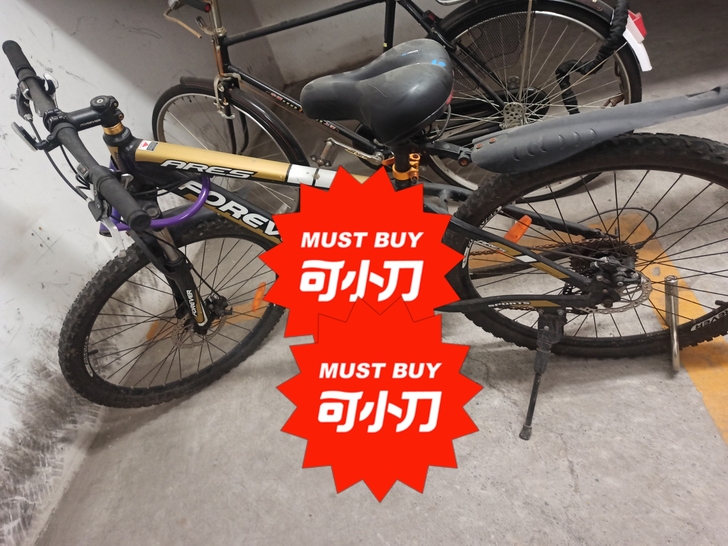 永久牌山地变速自行车,可小刀
