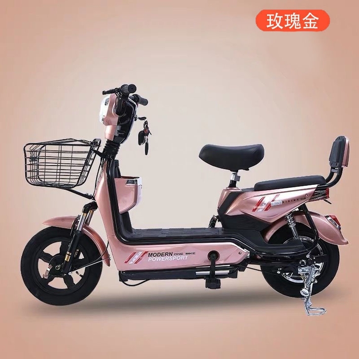 电动车成人新款48V男女双人新国标脚踏助力...