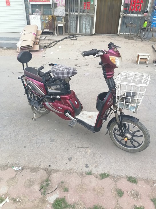 速派奇电动车质量杠杠滴,正常行驶,电瓶好,...