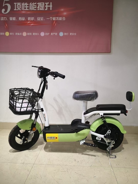 全新小骆驼电动车