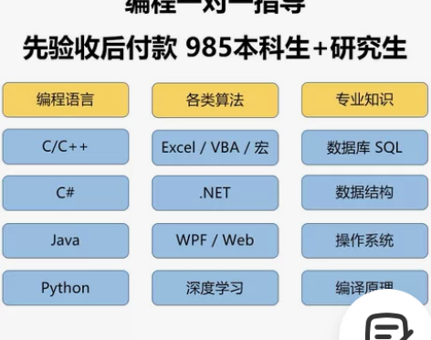 编程一对一指导 C++/C#/Python...