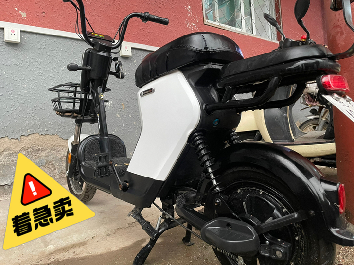 ZB/正步 电动自行车