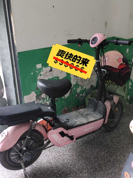 科思康新国标电动车成人代步亲子电瓶车48v...