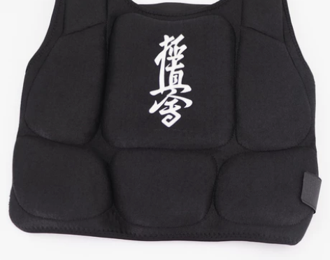 极真会空手道护胸 护甲 护身 全新转让，不...